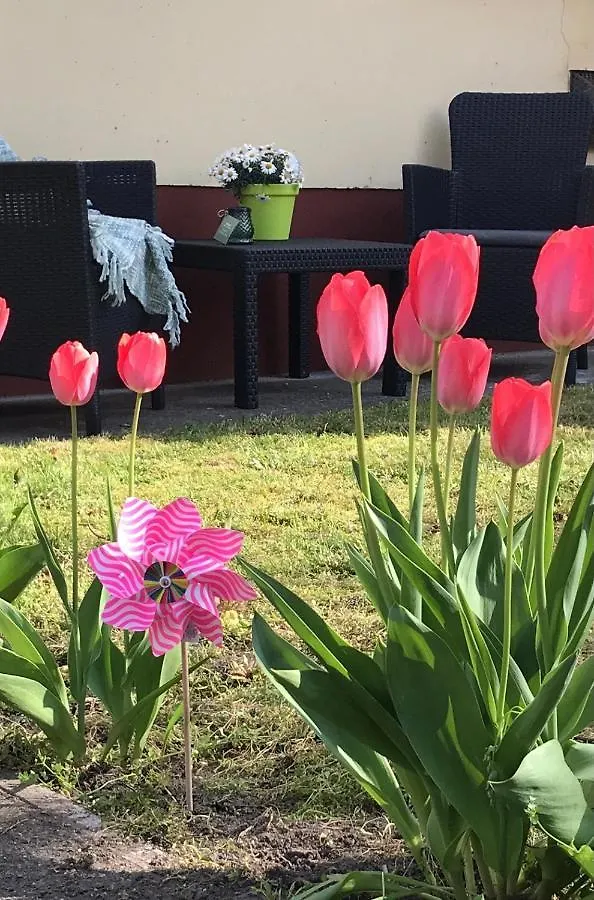 Apartman Casa Marherita Appartman Hajdúszoboszló Magyarország
