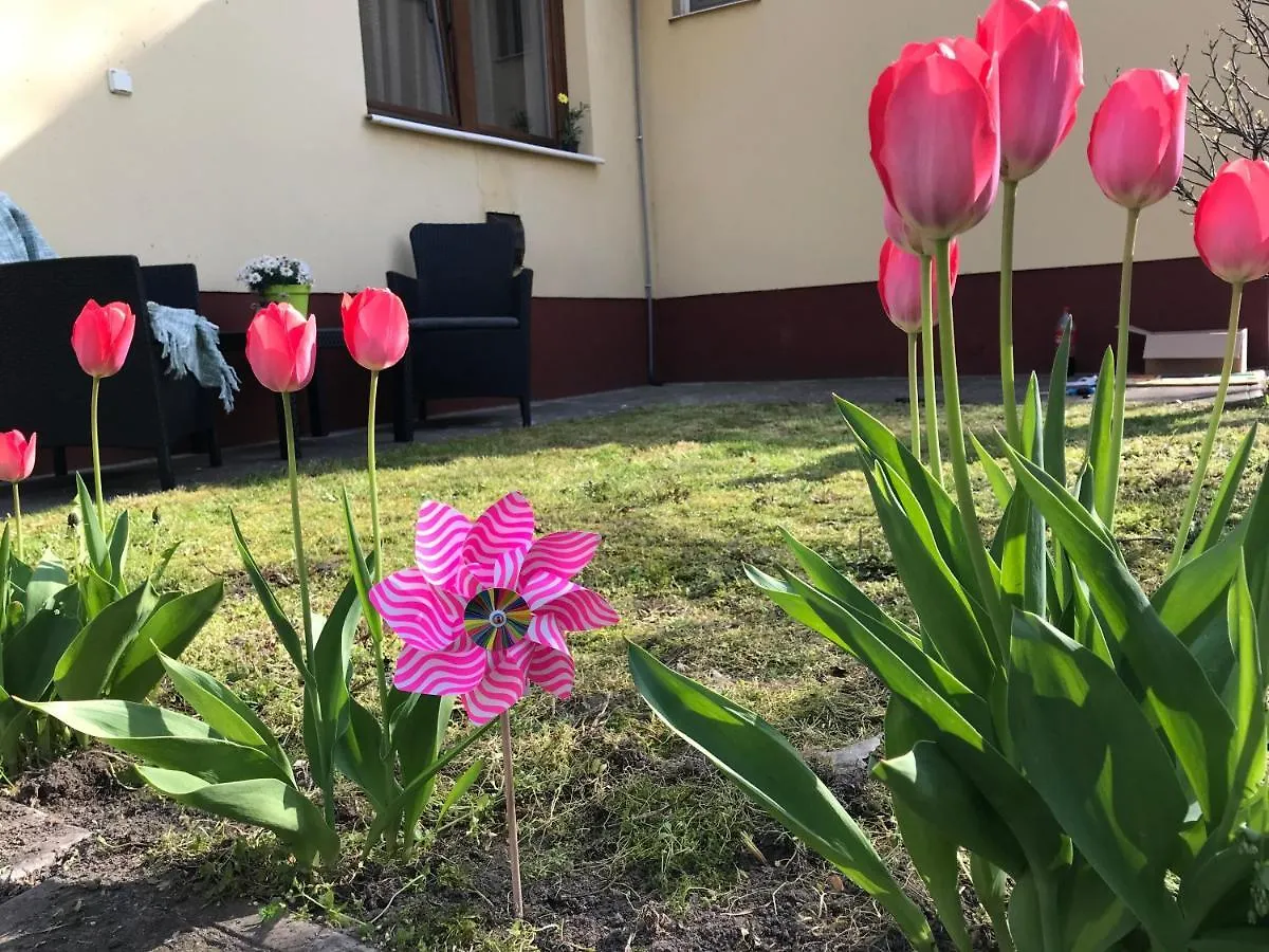 Casa Marherita Appartman Hajdúszoboszló Magyarország